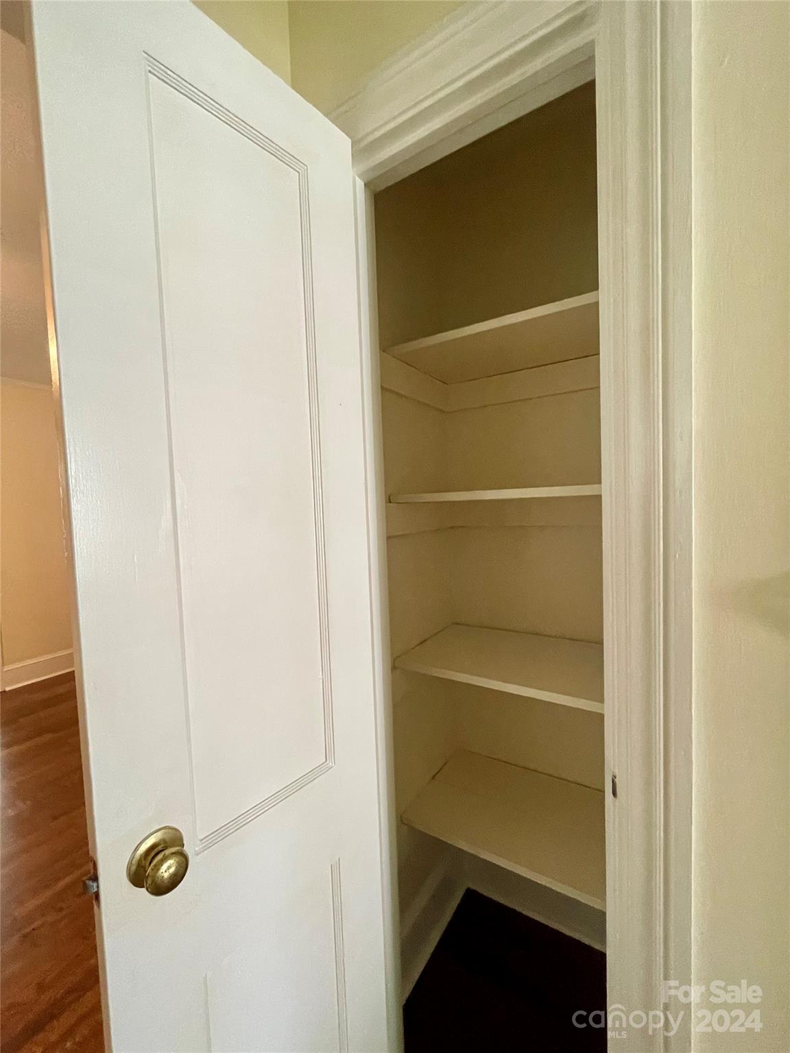 304 Rhyne Street Stanley, NC 28164 - Photo 29 of 38 a view of walk in closet