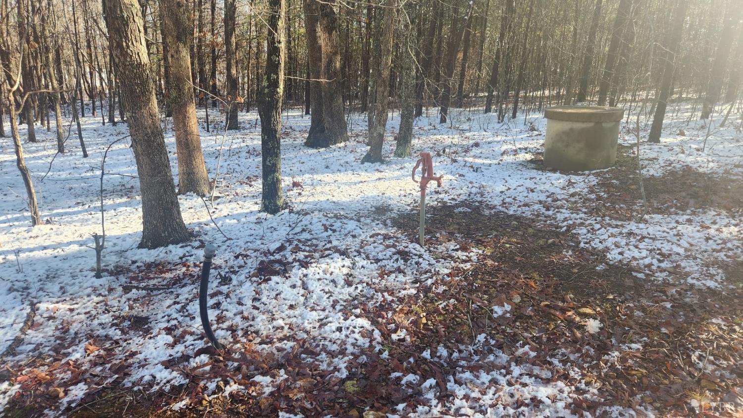 0 Old Courthouse Road Appomattox, VA 24522 - Photo 11 of 22