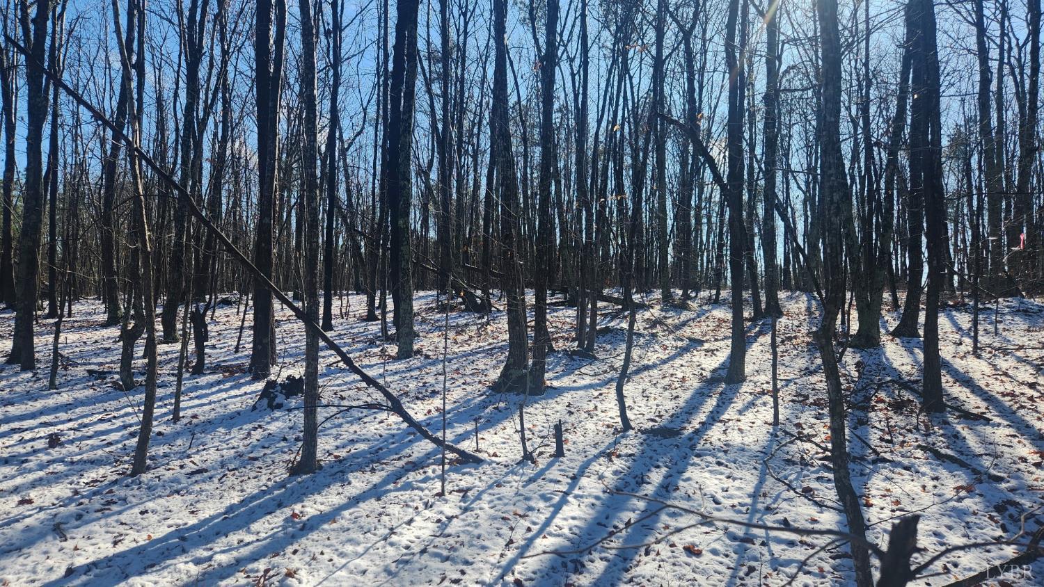 0 Old Courthouse Road Appomattox, VA 24522 - Photo 17 of 22