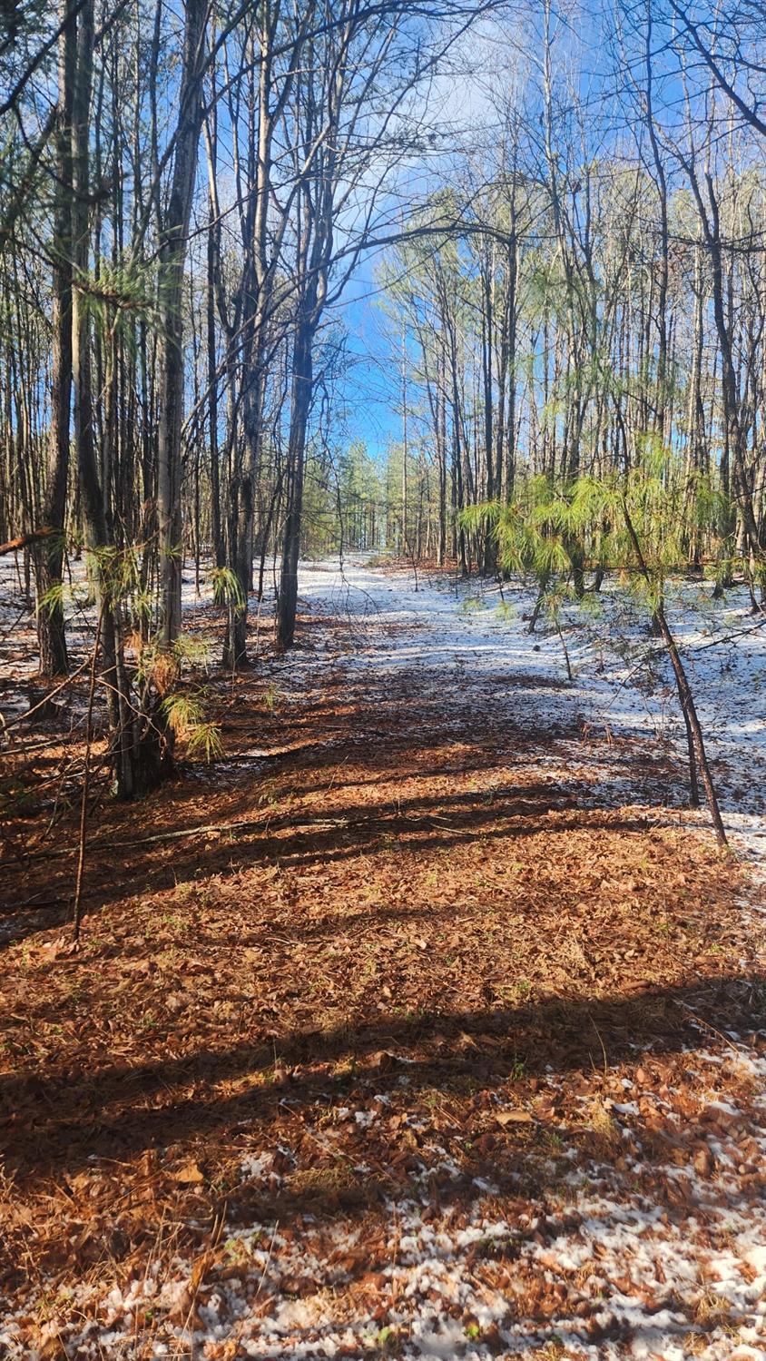 0 Old Courthouse Road Appomattox, VA 24522 - Photo 18 of 22