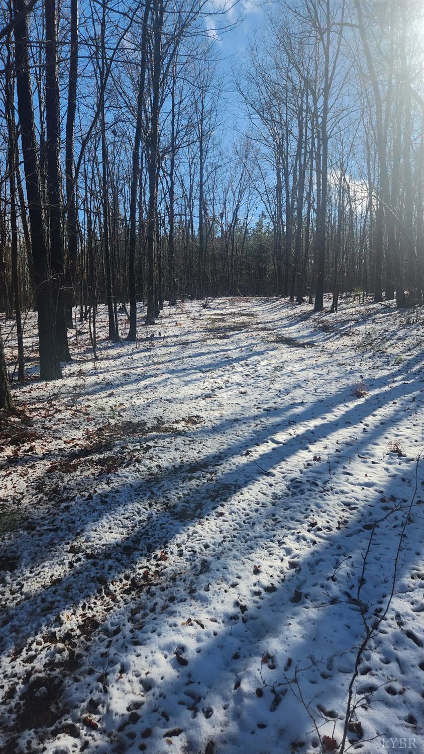 0 Old Courthouse Road Appomattox, VA 24522 - Photo 19 of 22