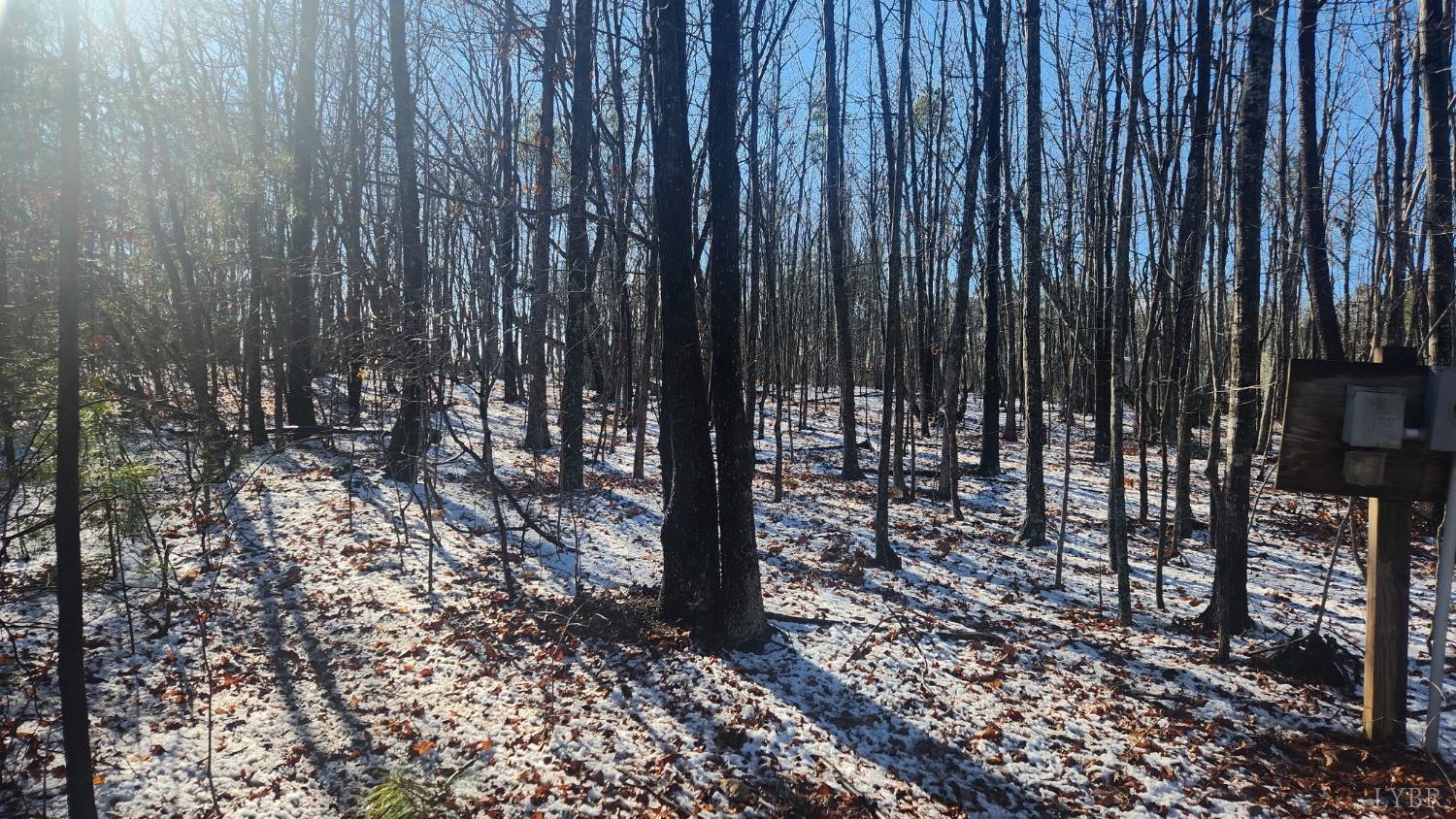 0 Old Courthouse Road Appomattox, VA 24522 - Photo 22 of 22