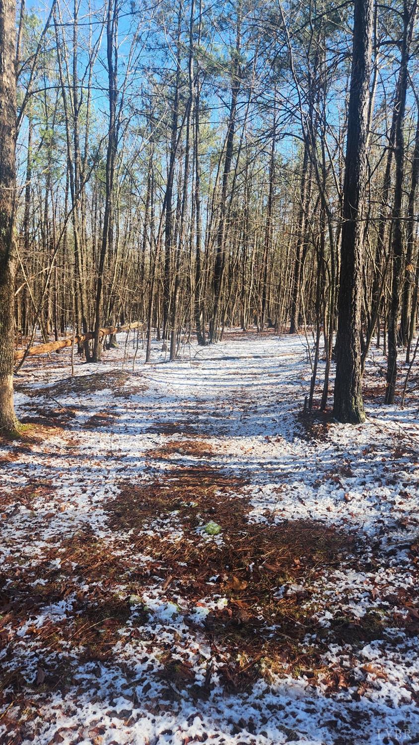 0 Old Courthouse Road Appomattox, VA 24522 - Photo 5 of 22