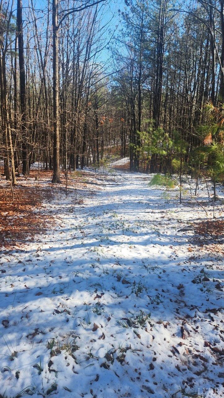 0 Old Courthouse Road Appomattox, VA 24522 - Photo 7 of 22