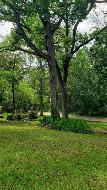 401 South Timberlane Lone Star, TX 75668 - Photo 21 of 27 a view of a trees in a yard