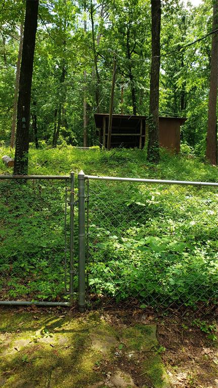 401 South Timberlane Lone Star, TX 75668 - Photo 24 of 27 a view of a backyard