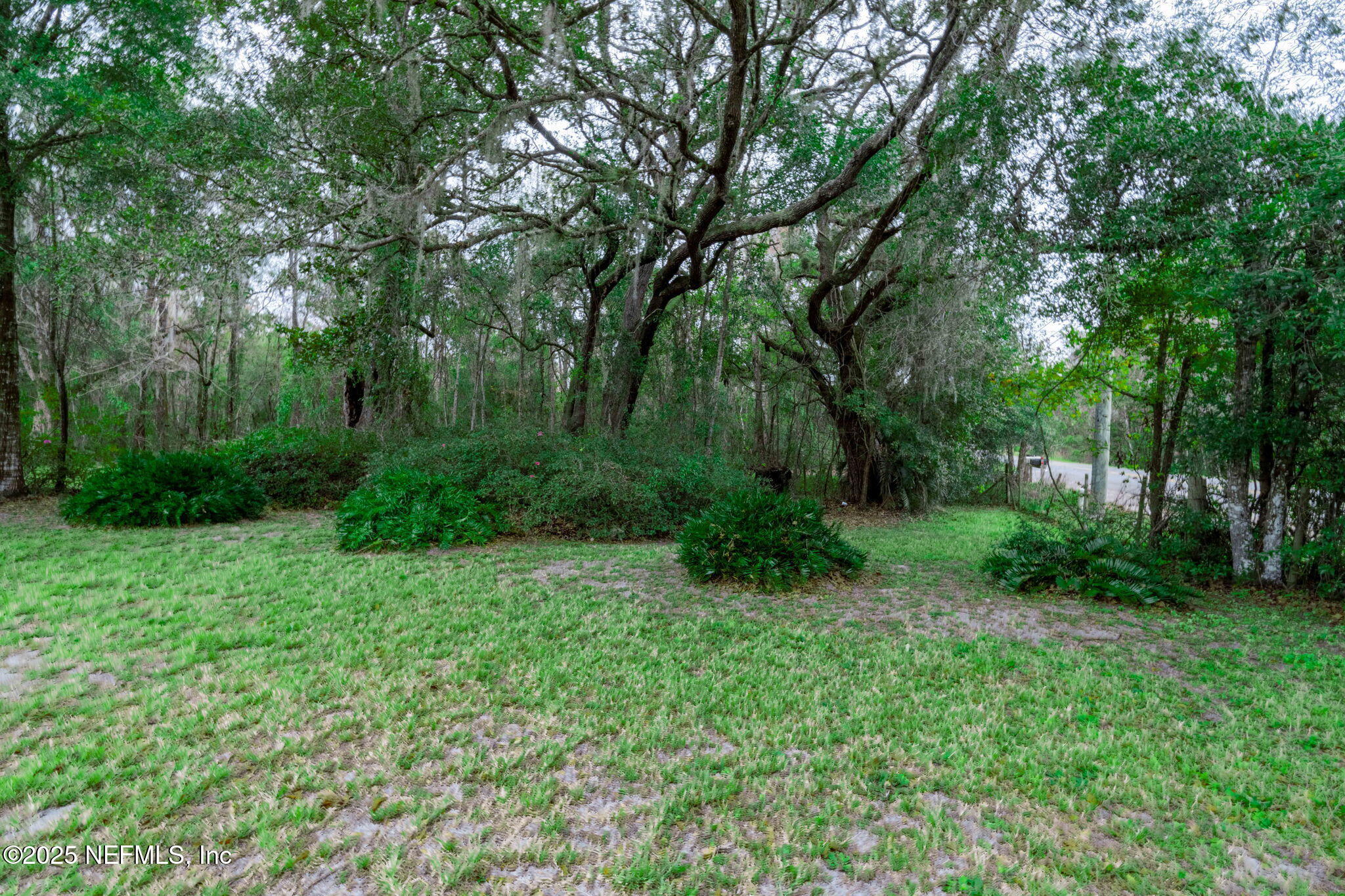 5705 CR 208 St. Augustine, FL 32092 - Photo 38 of 86 a view of backyard with green space