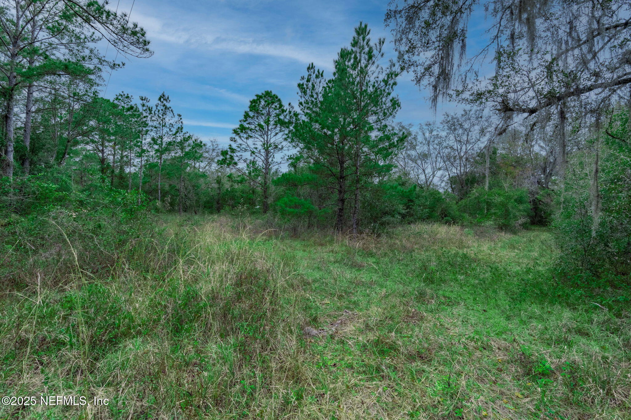 5705 CR 208 St. Augustine, FL 32092 - Photo 65 of 86 ISO Photo_5705 CR 208_StAug FL_059