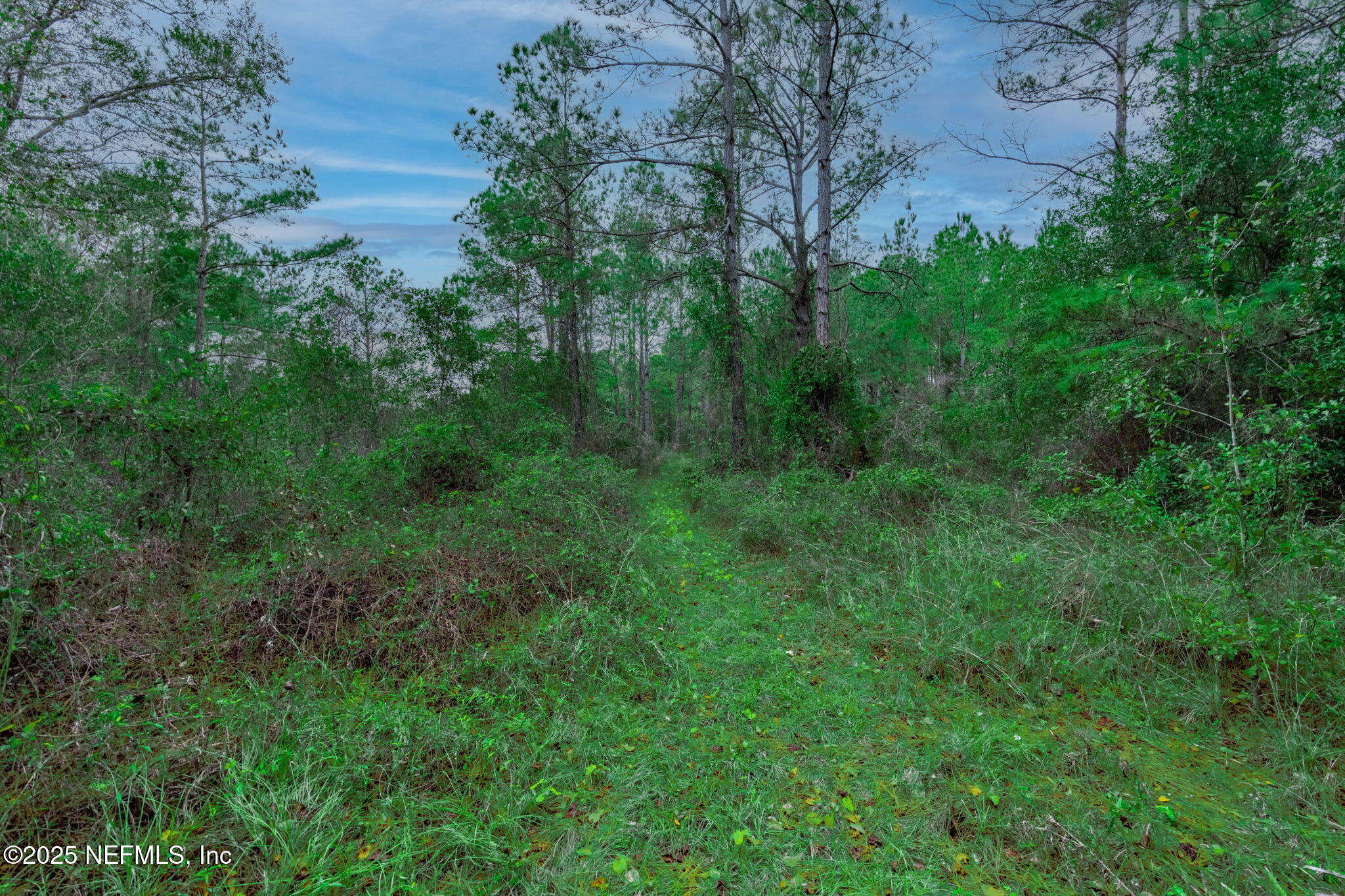 5705 CR 208 St. Augustine, FL 32092 - Photo 68 of 86 a view of a lush green space