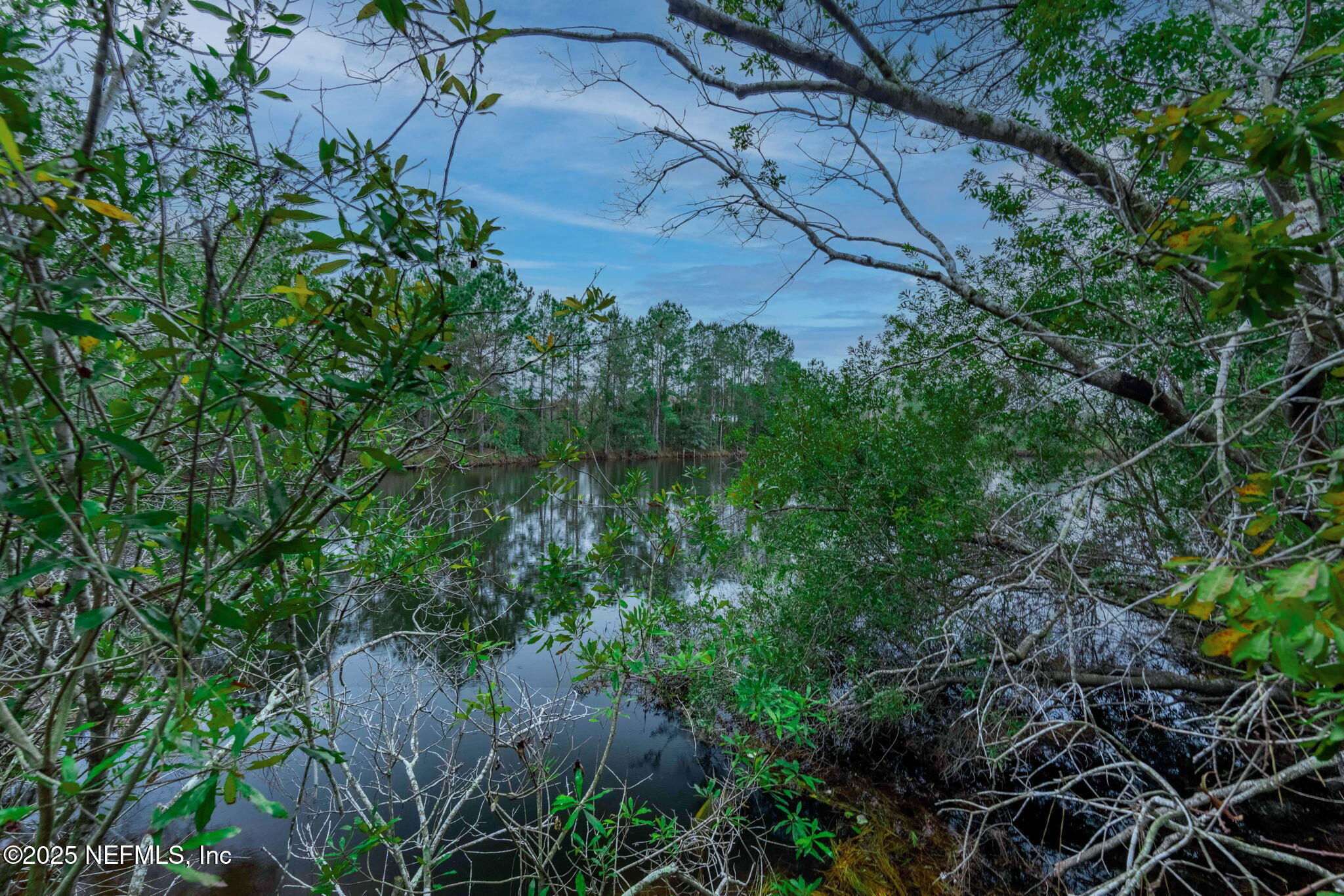 5705 CR 208 St. Augustine, FL 32092 - Photo 71 of 86 a view of a garden