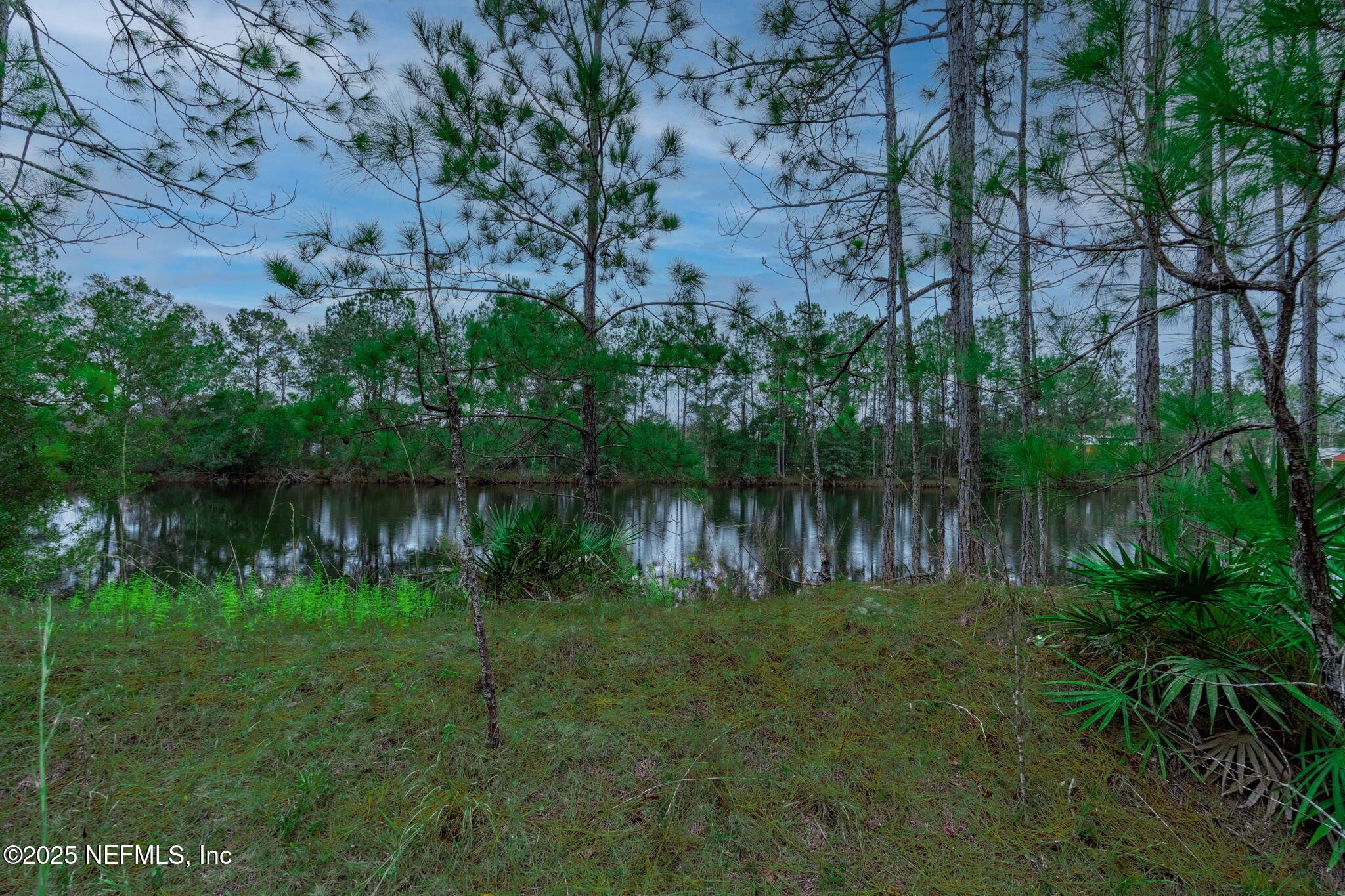 5705 CR 208 St. Augustine, FL 32092 - Photo 72 of 86 ISO Photo_5705 CR 208_StAug FL_066