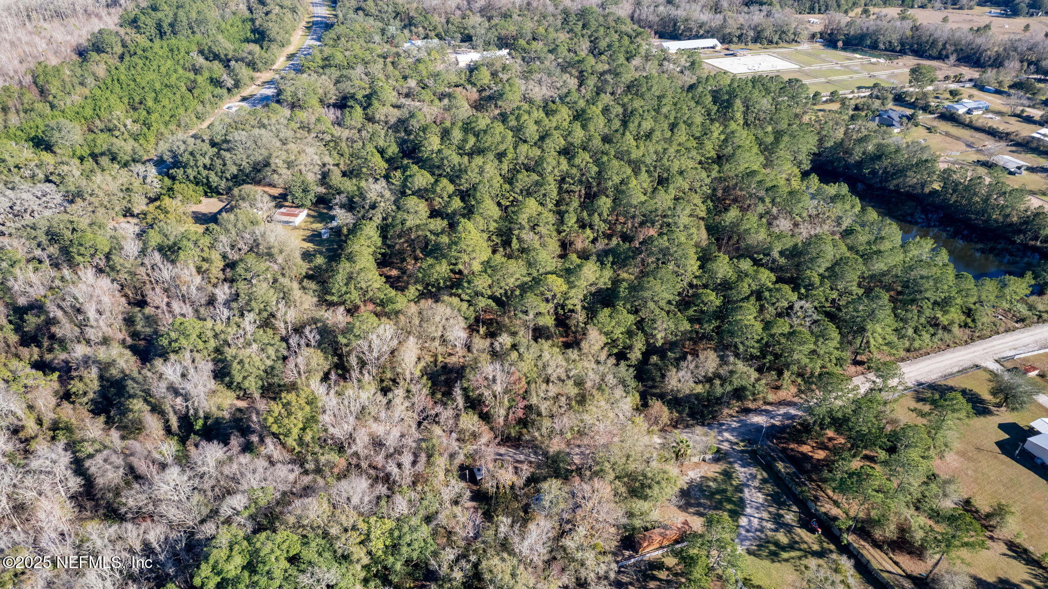 5705 CR 208 St. Augustine, FL 32092 - Photo 84 of 86 a view of a forest with a tree