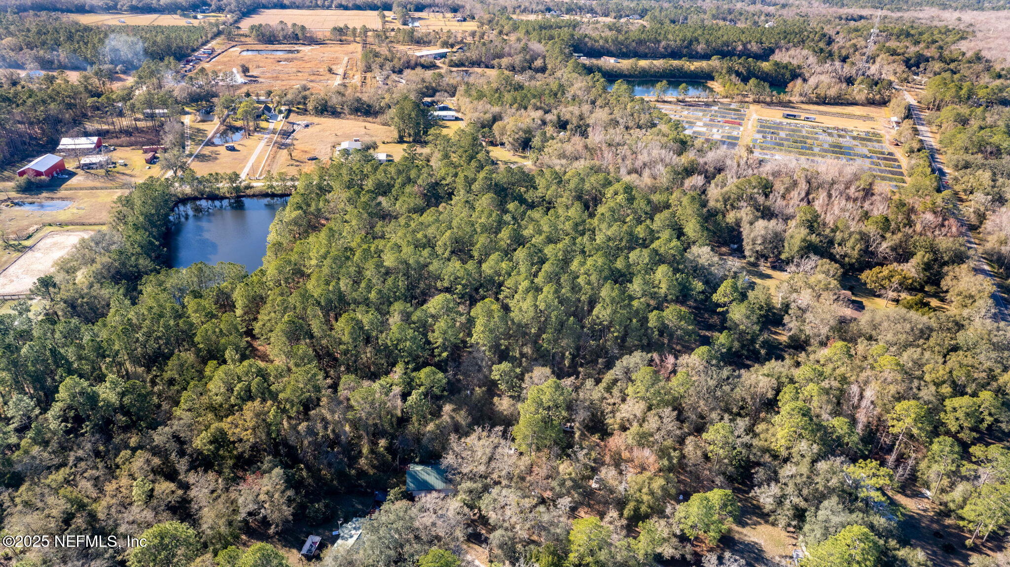 5705 CR 208 St. Augustine, FL 32092 - Photo 86 of 86 ISO Photo_5705 CR 208_StAug FL_080