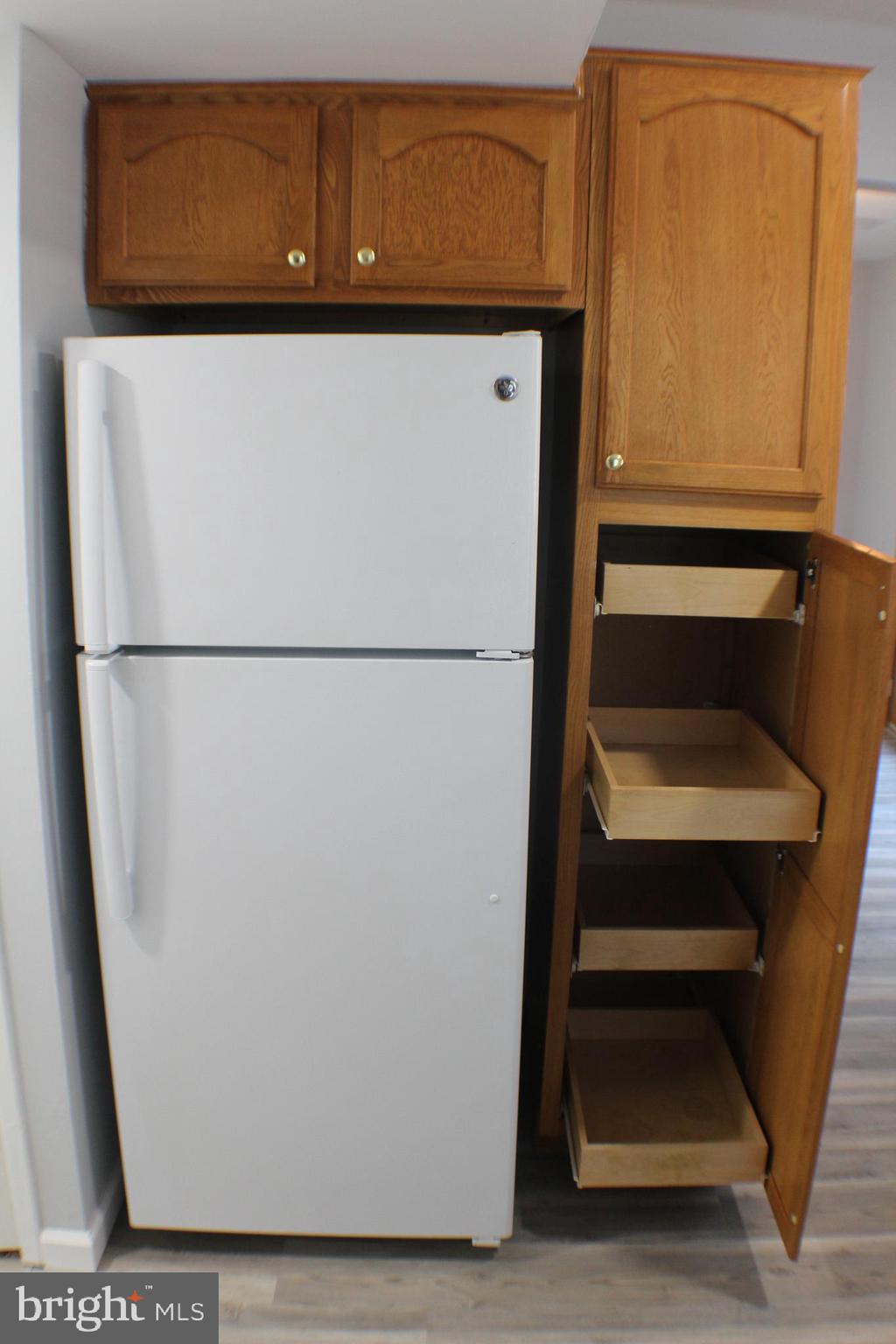 7739 Matisse Way Springfield, VA 22153 - Photo 15 of 65 Pull out shelves