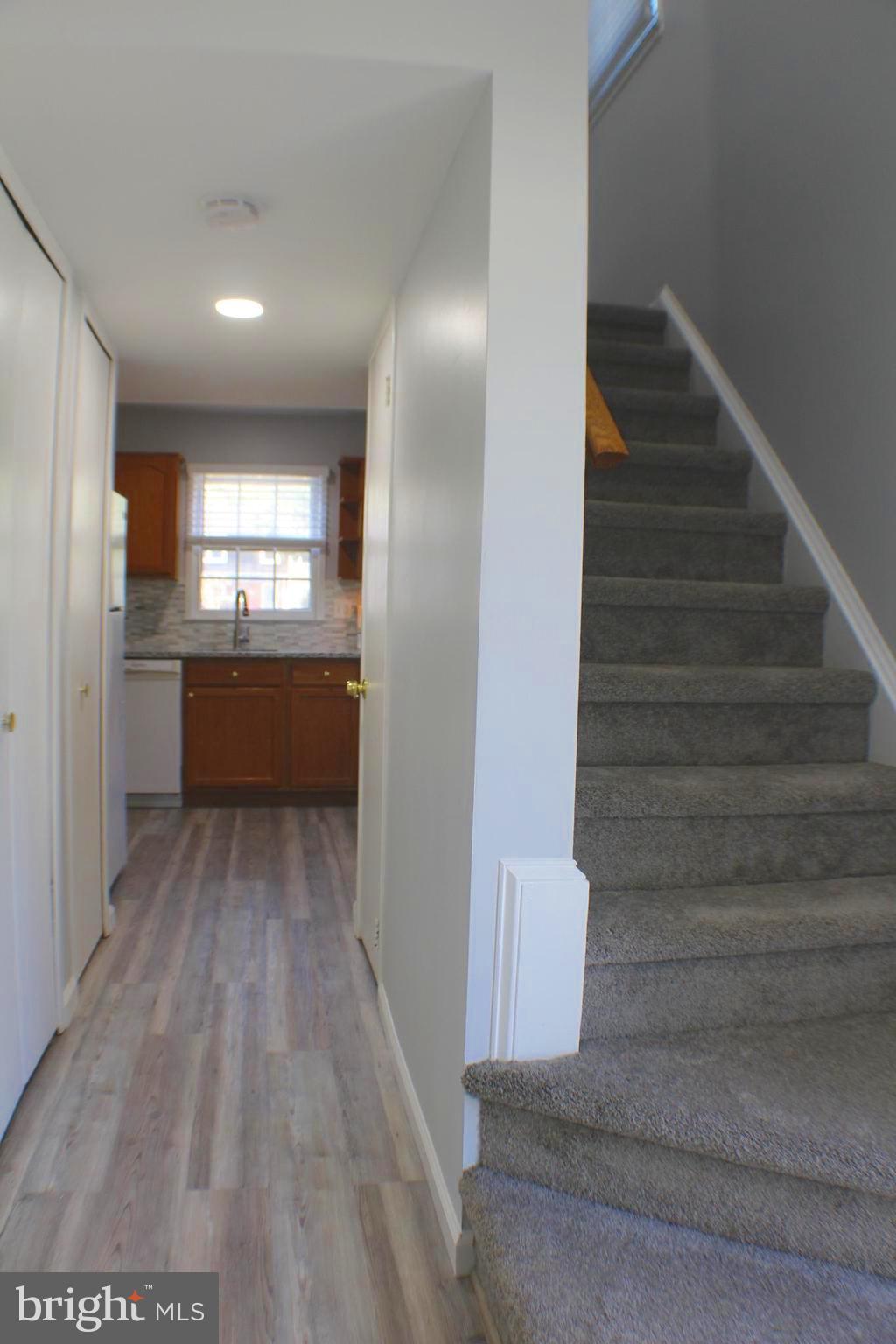 7739 Matisse Way Springfield, VA 22153 - Photo 22 of 65 storage under stairs