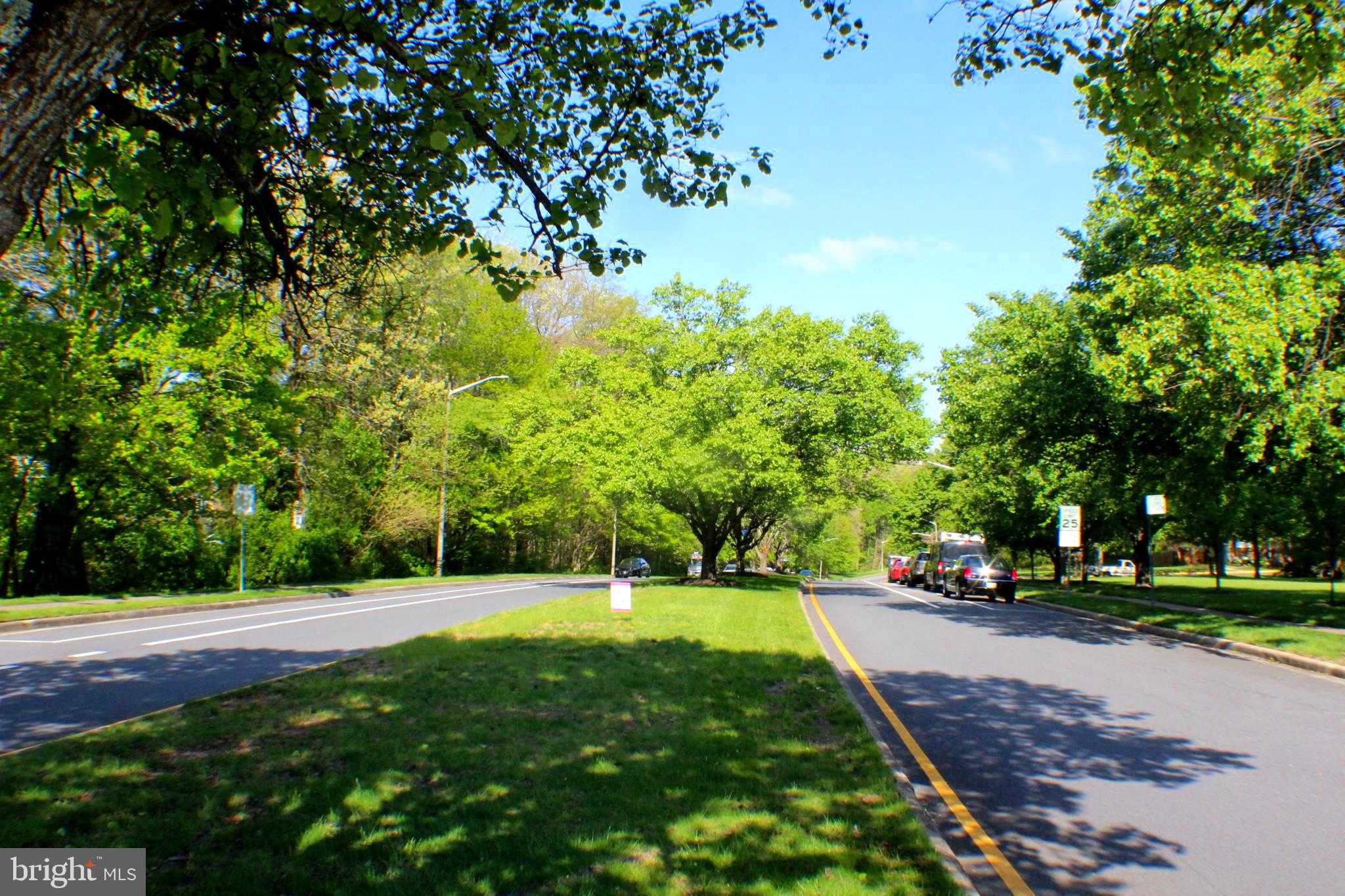 7739 Matisse Way Springfield, VA 22153 - Photo 51 of 65 Tree lined Streets