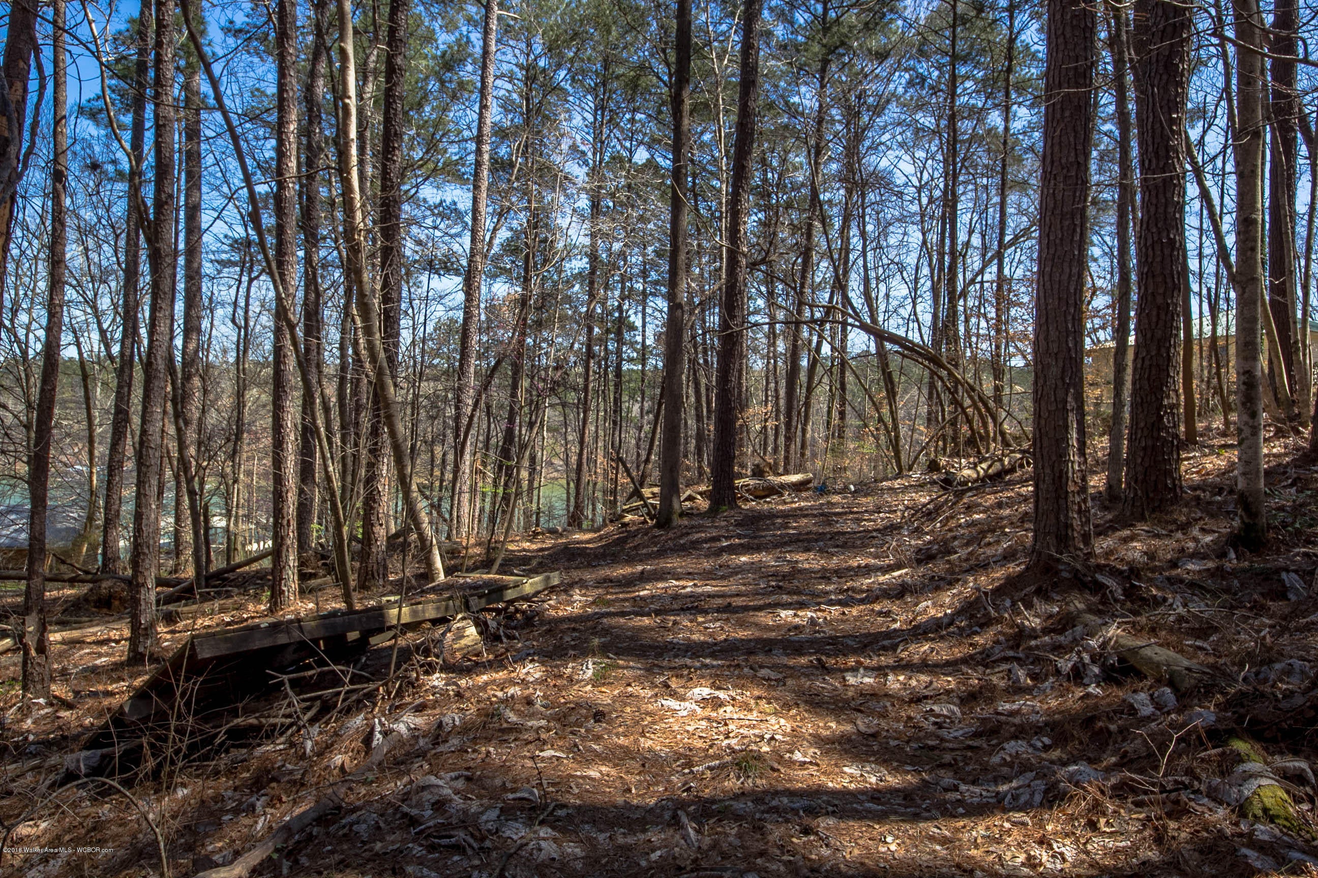 Lot 12 Co Road Jasper, AL 35503 - Photo 4 of 15 Gallery Image 4