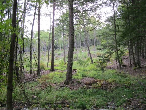 Land Only Land Only Coach Road Peterborough, NH 03458 - Photo 1 of 1