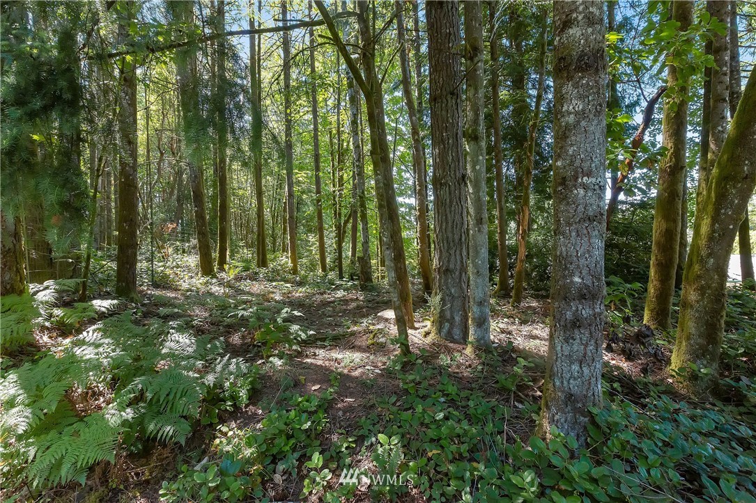 6969 Southeast Sedgwick Road Port Orchard, WA 98366 - Photo 2 of 38 Gallery Image 2