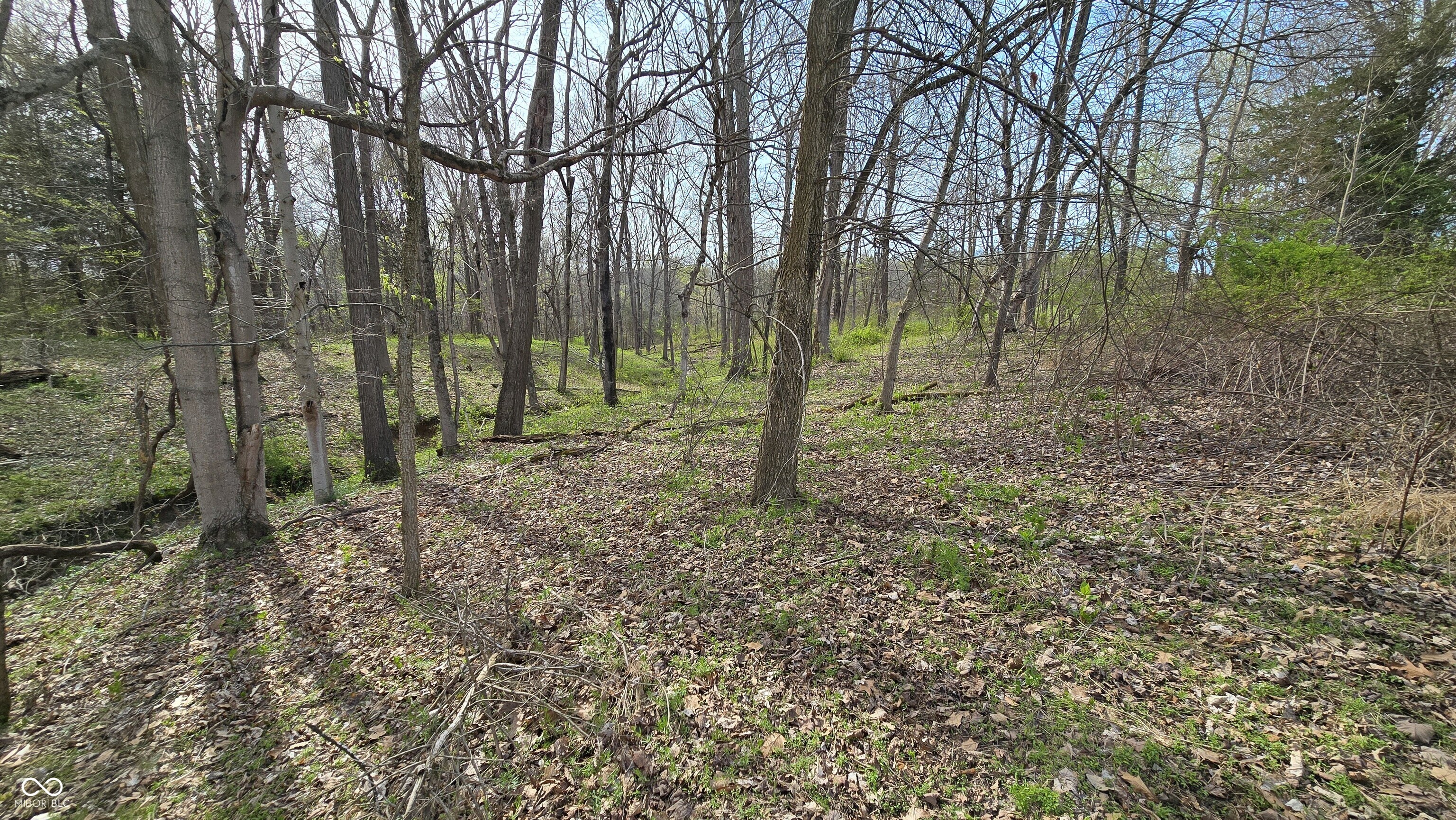 19205 Michigan Road Marysville, IN 47141 - Photo 44 of 91