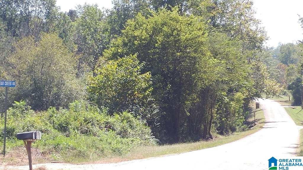 0 New Liberty Road, Unit 4 99 Jacksonville, AL 36265 - Photo 1 of 3
