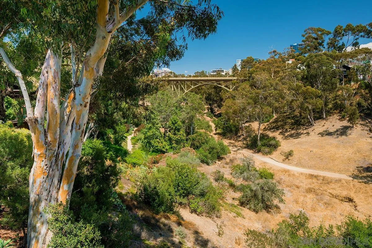 305 West Olive Street San Diego, CA 92103 - Photo 58 of 74 a view of a yard with plants and trees