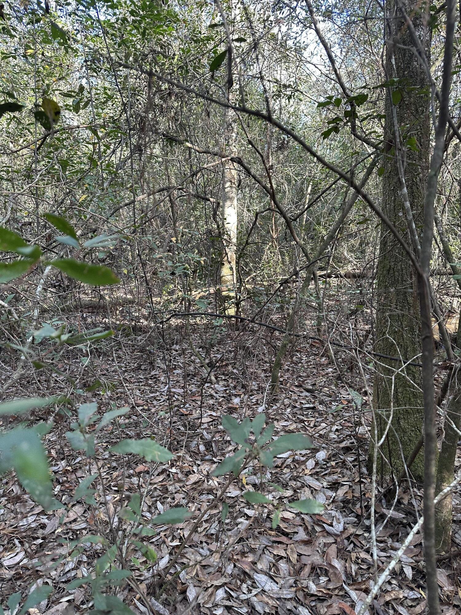 5225 Kimp Road Crestview, FL 32539 - Photo 11 of 15