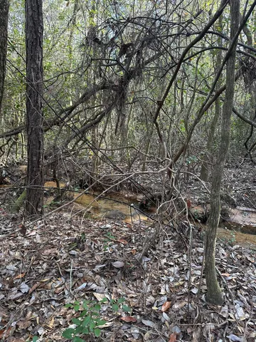 a view of a yard with plants and wooden fence