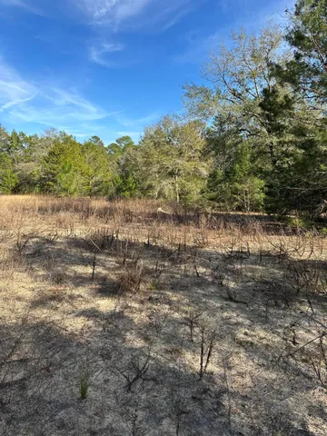 a view of a lake with beach and green space