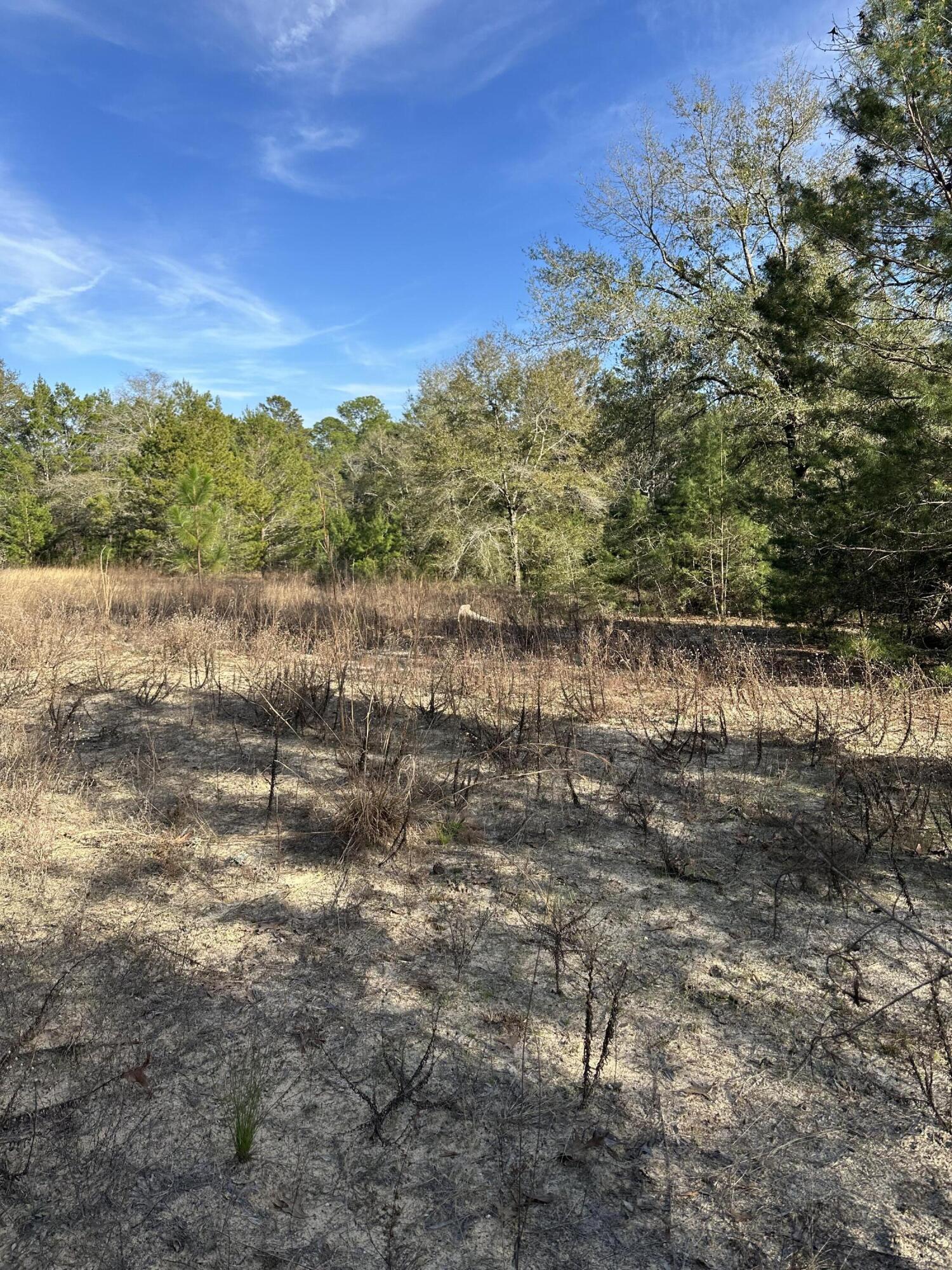5225 Kimp Road Crestview, FL 32539 - Photo 4 of 15 a view of a lake with beach and green space