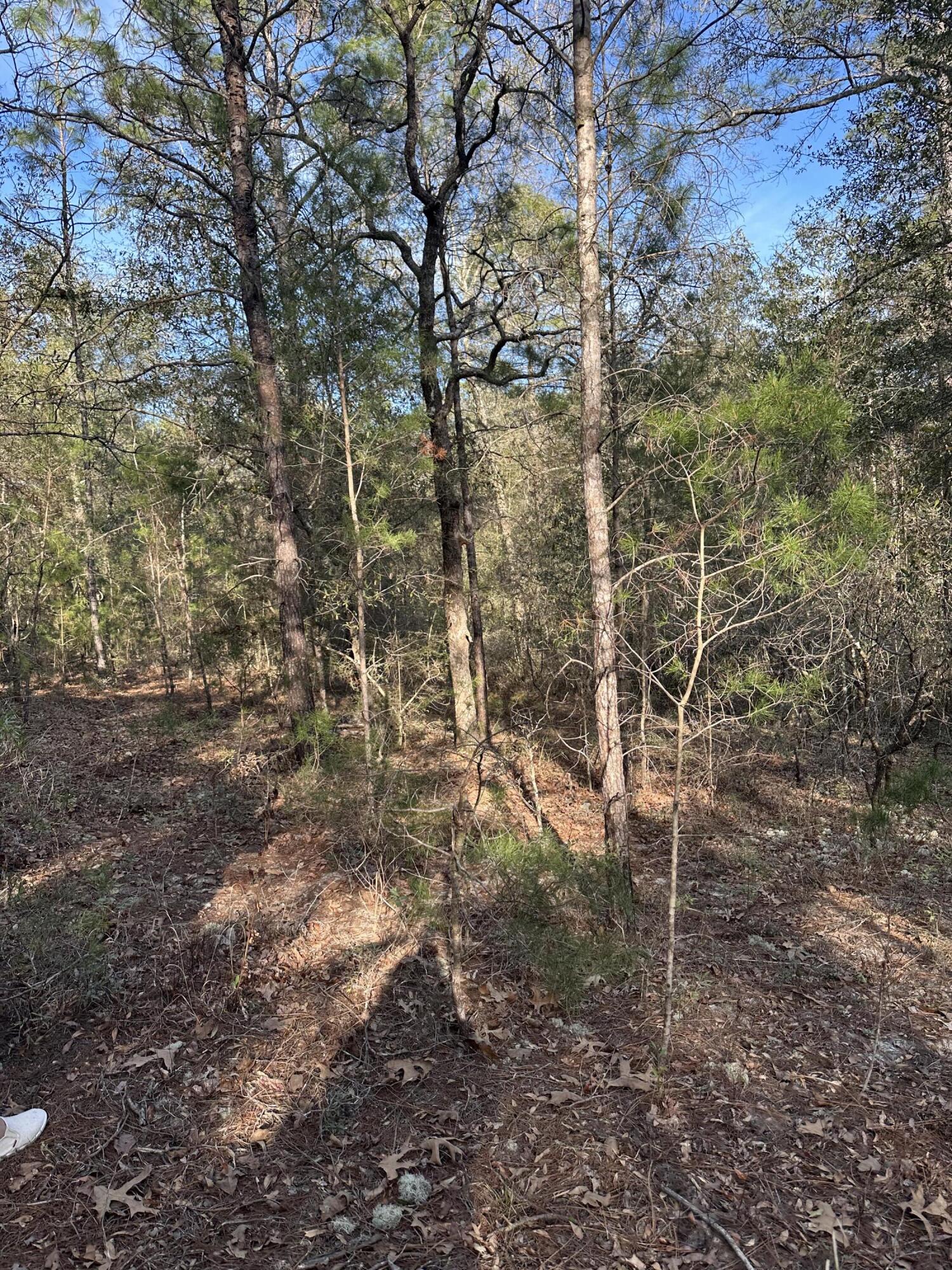 5225 Kimp Road Crestview, FL 32539 - Photo 10 of 15 a backyard of a house