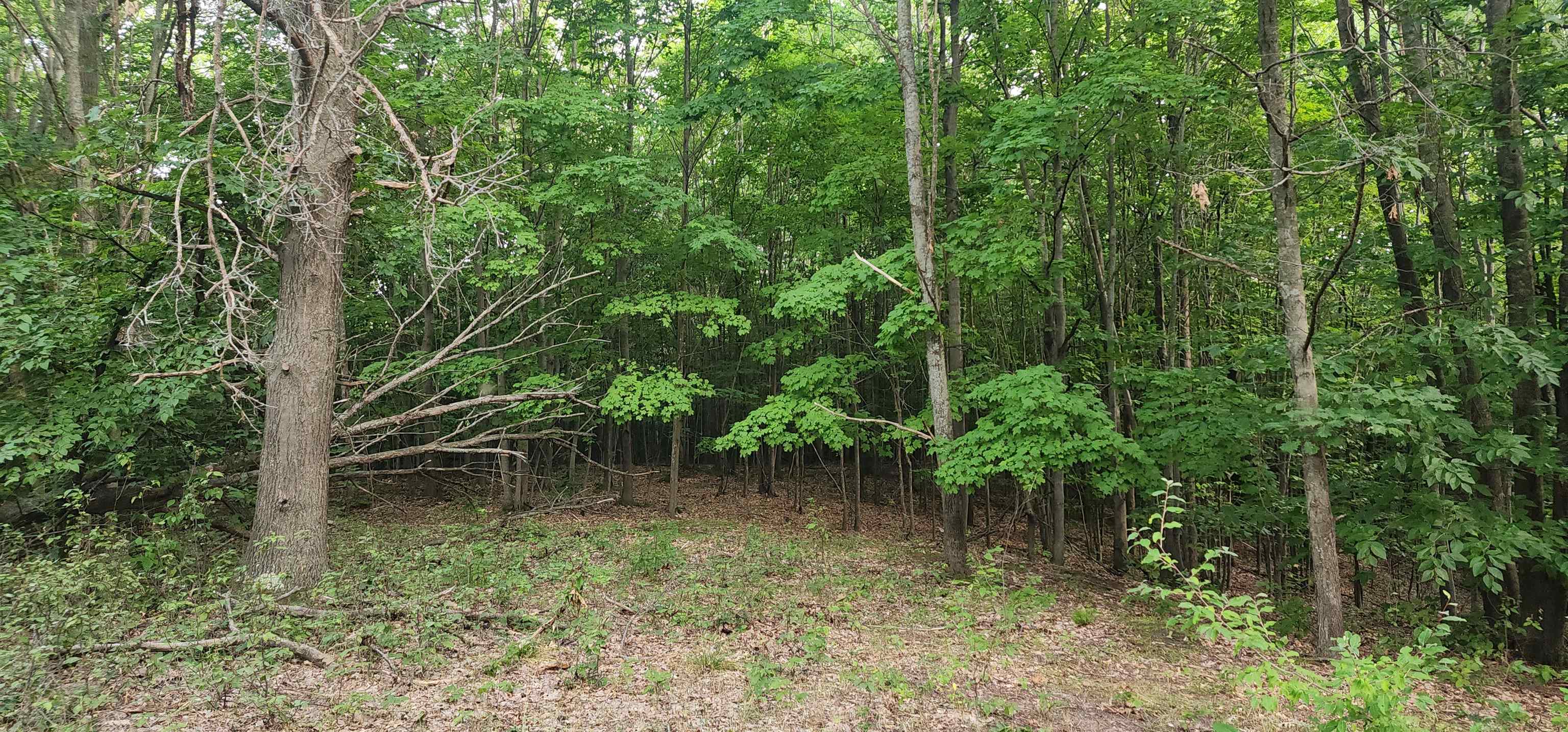 0 West Phelps Road Manton, MI 49663 - Photo 10 of 12