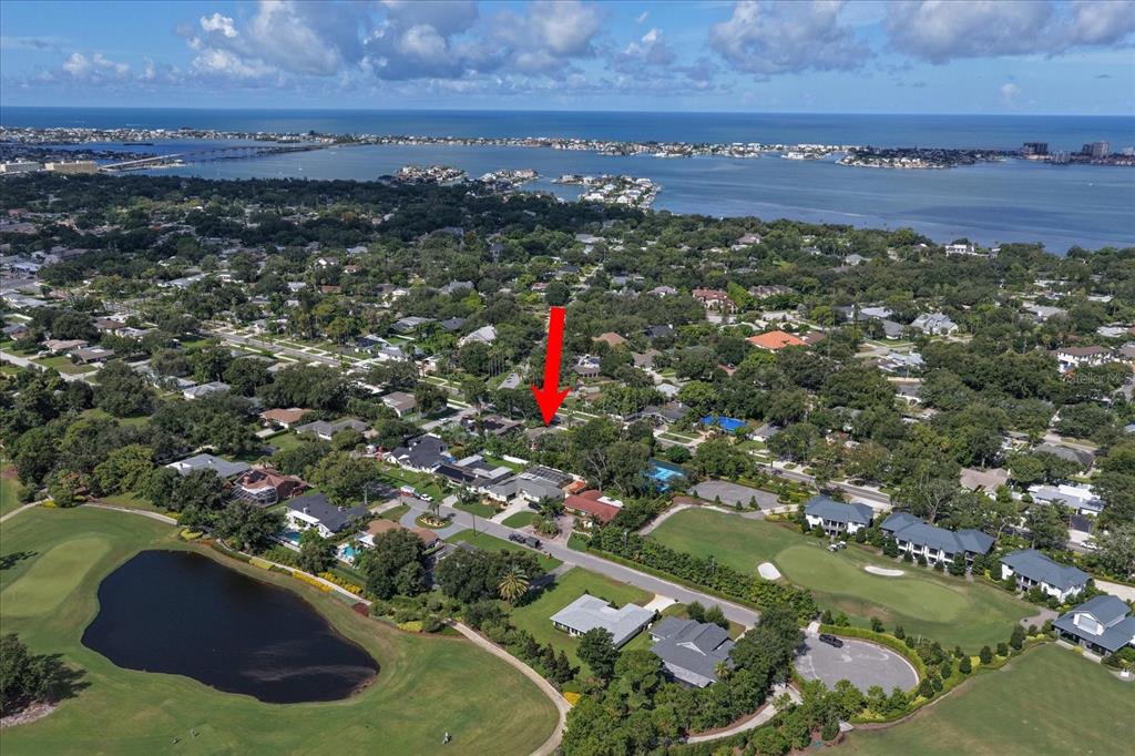 1621 Indian Rocks Road Belleair, FL 33756 - Photo 57 of 59 Gallery Image 57