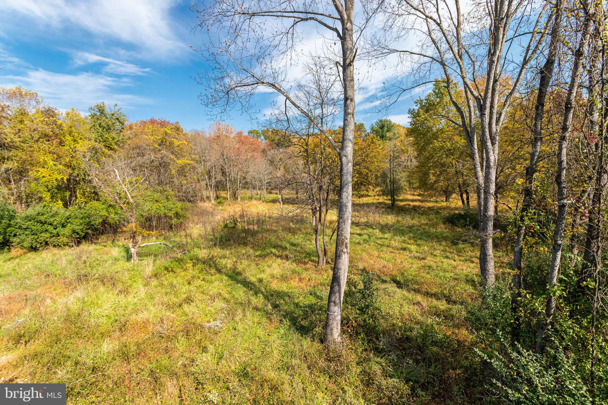 950 Walker Road Great Falls, VA 22066 - Photo 55 of 56 Gallery Image 55
