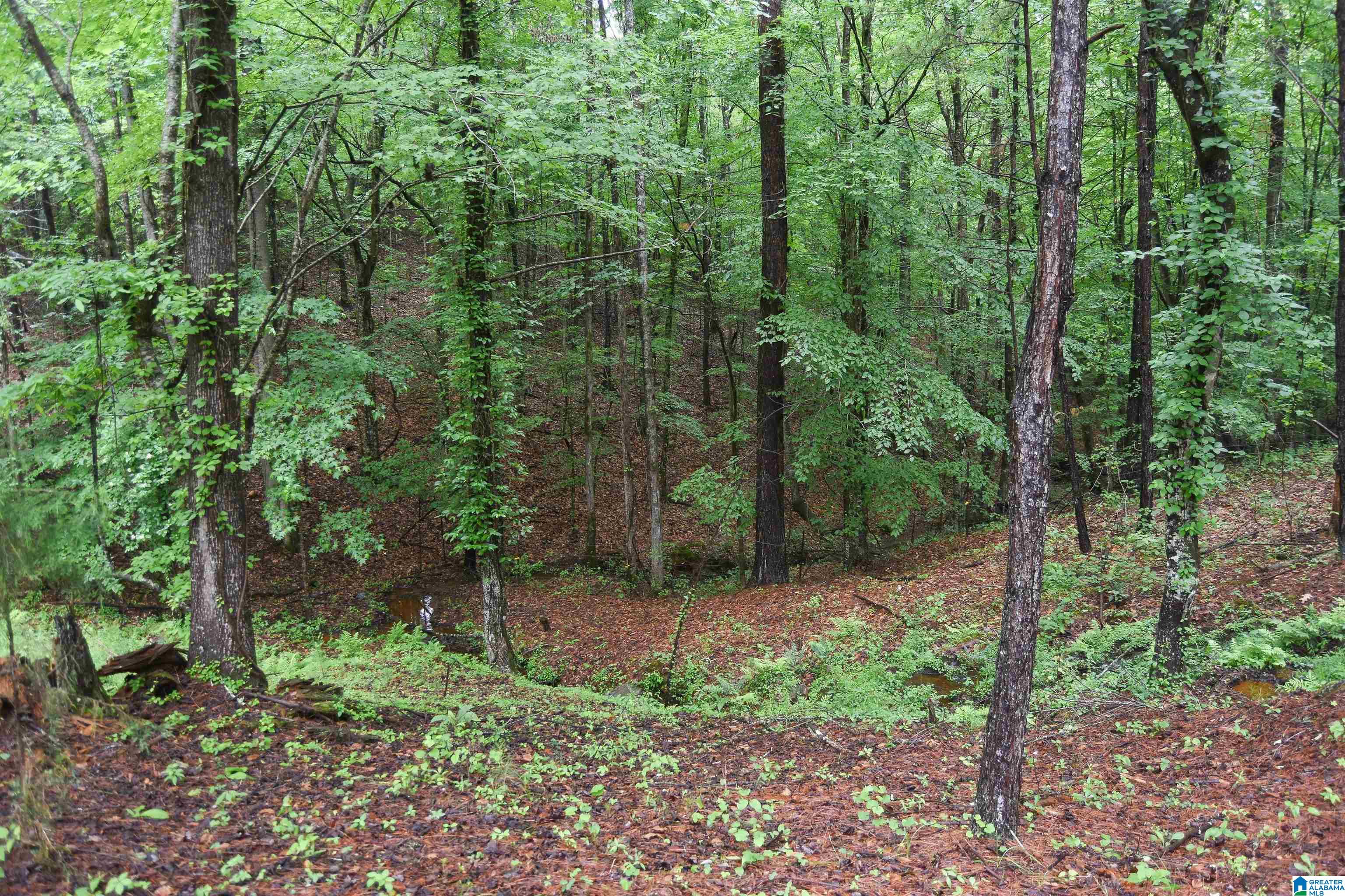 2488 Louina Road Roanoke, AL 36274 - Photo 65 of 97