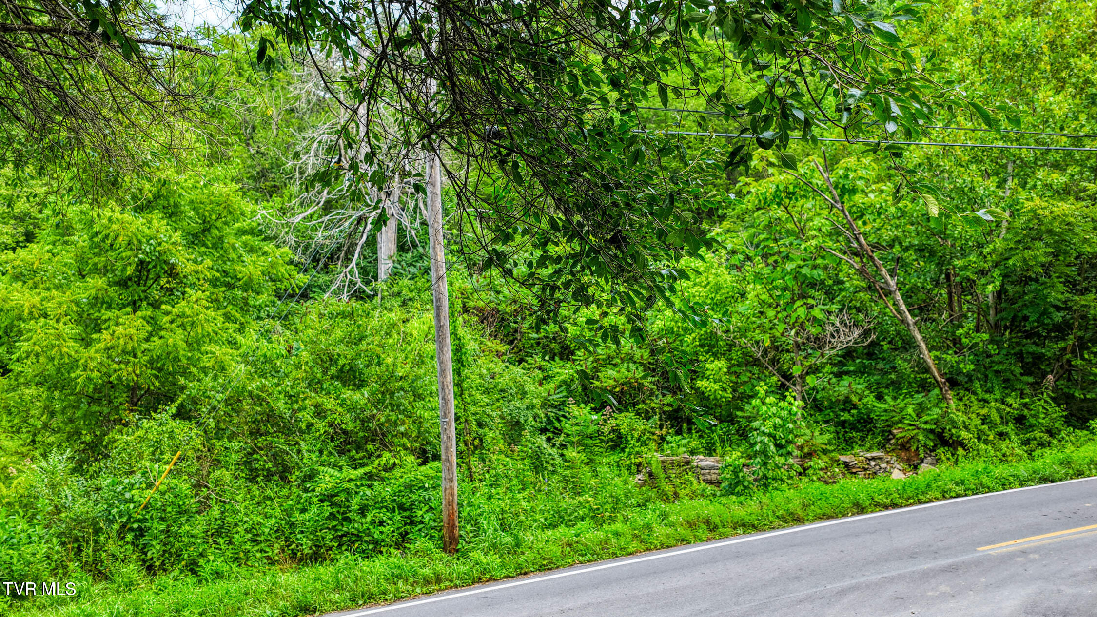 Tbd Sweet Creek Road, Unit TBD Eidson, TN 37731 - Photo 6 of 52 Sweet Creek. Eidson MLSa (5 of 51)