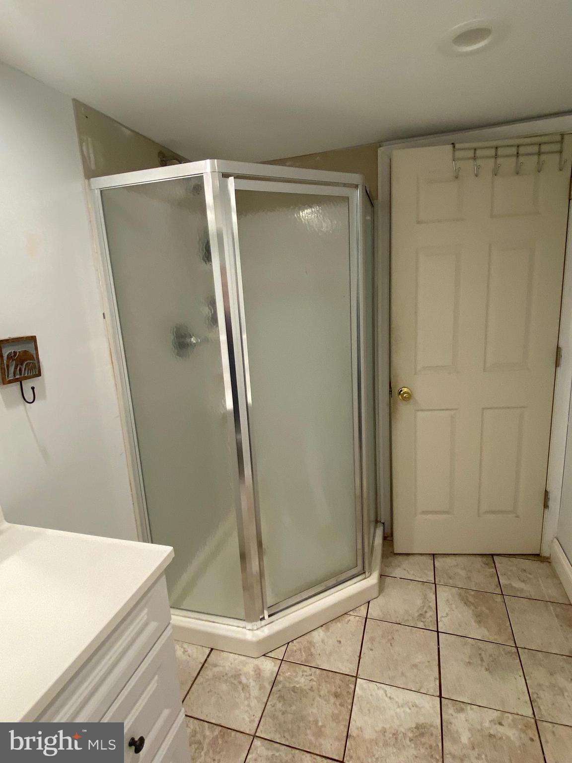 352 Rively Avenue Collingdale, PA 19023 - Photo 24 of 28 Shower - Basement
