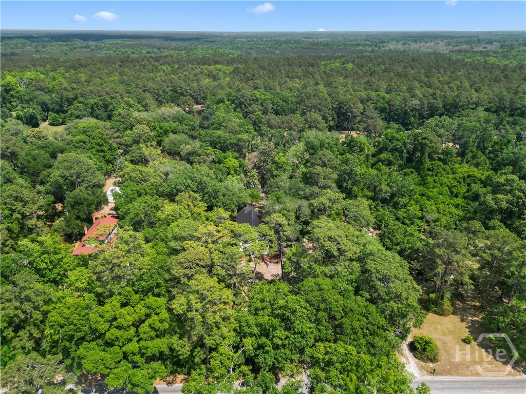 674 Dunlevie Road Allenhurst, GA 31301 - Photo 40 of 42