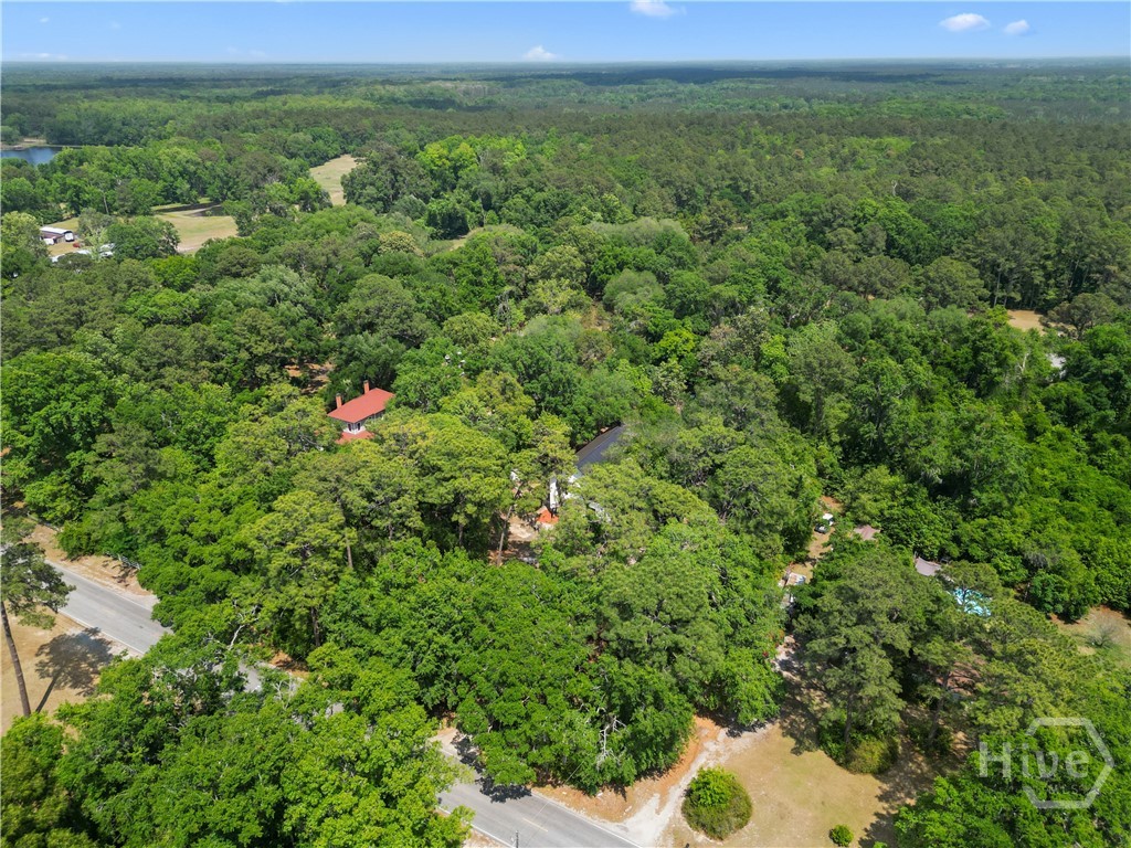 674 Dunlevie Road Allenhurst, GA 31301 - Photo 41 of 42