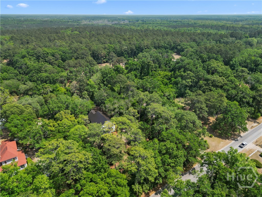 674 Dunlevie Road Allenhurst, GA 31301 - Photo 42 of 42