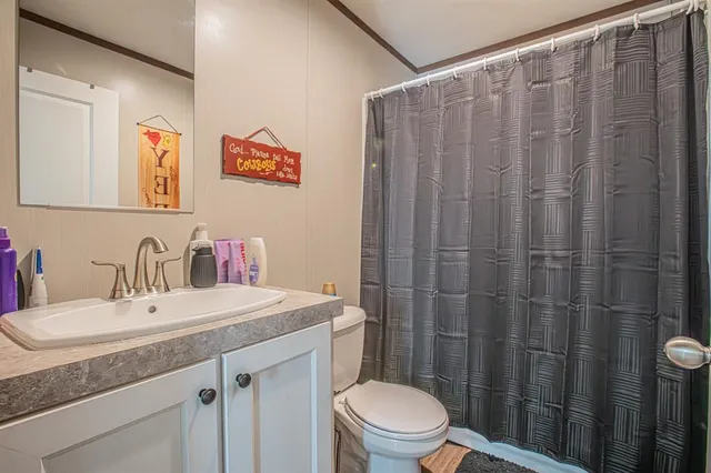 a bathroom with a sink a toilet a mirror and shower curtain