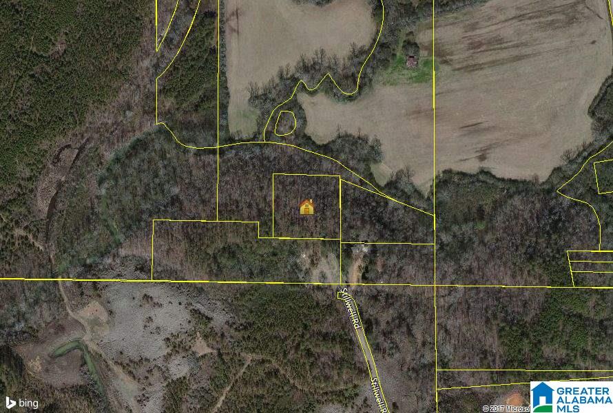 Lot 3 Stillwell Road, Unit 3 Quinton, AL 35130 - Photo 1 of 1