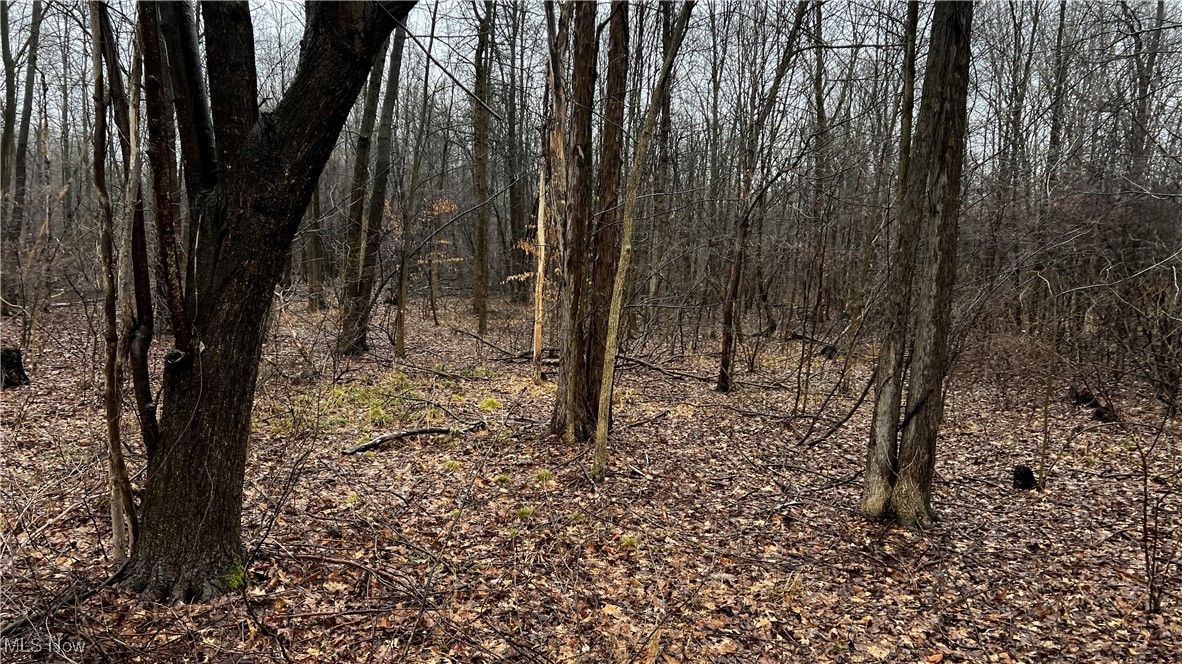 Braceville Robinson Rd Road Newton Falls, OH 44444 - Photo 21 of 50 Gallery Image 21
