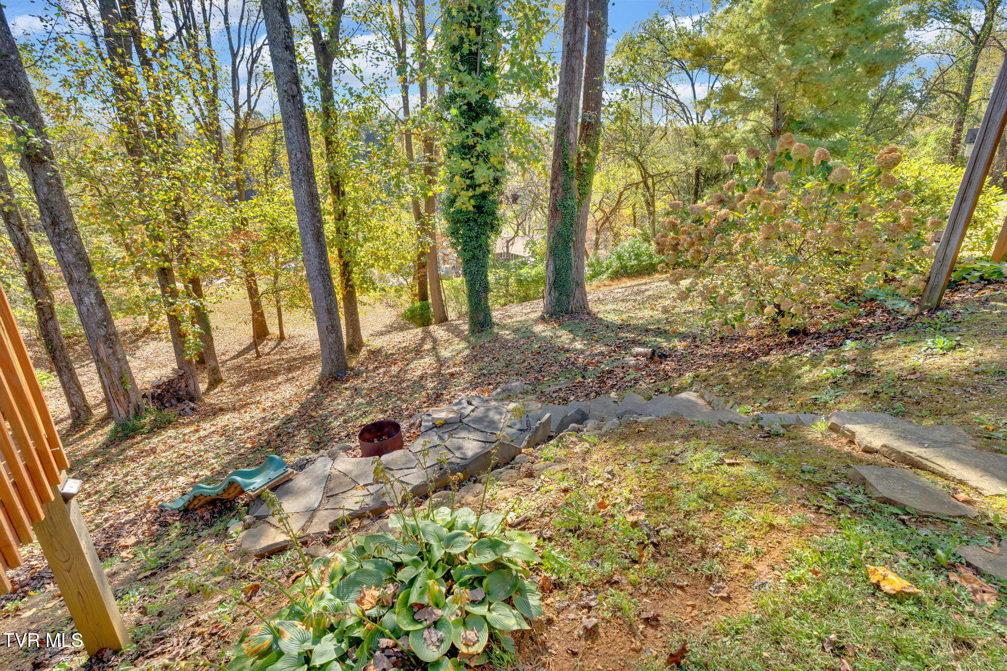 437 Merman Road Kingsport, TN 37663 - Photo 34 of 42 2-web-or-mls-JH 20251022-106