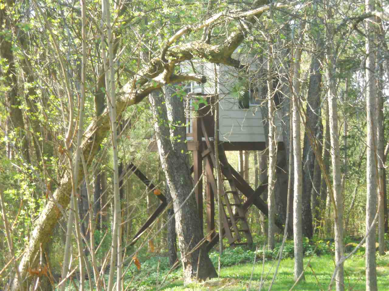 17 Field Avenue Rutland, VT 05701 - Photo 3 of 11 Gallery Image 3