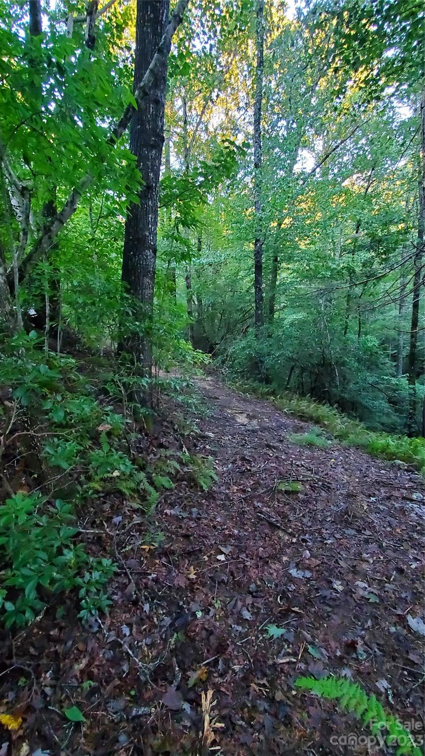 25 Creek Road Rosman, NC 28772 - Photo 37 of 48 Gallery Image 37
