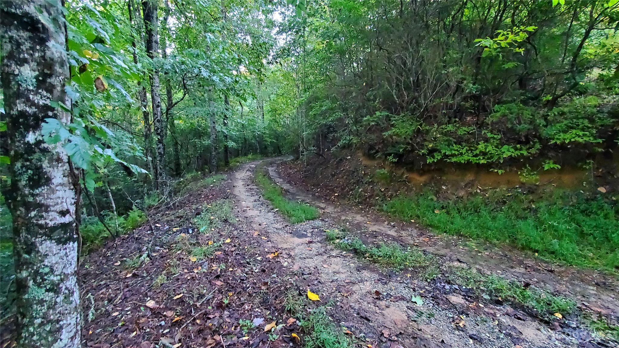 25 Creek Road Rosman, NC 28772 - Photo 41 of 48 Gallery Image 41