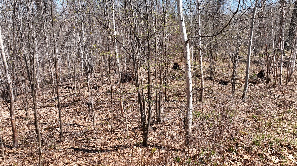 Xx East Beauregard Lake Road Solon Springs, WI 54873 - Photo 34 of 37