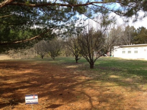 7519 Rodgers Road Corryton, TN 37721 - Photo 6 of 19 Additional Photo