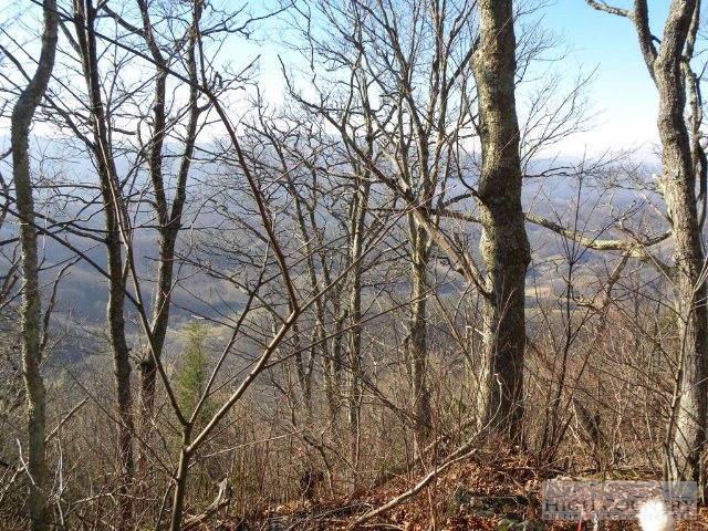 Lot 13 Saddle Road Boone, NC 28607 - Photo 1 of 4 a backyard of a house with lots of trees